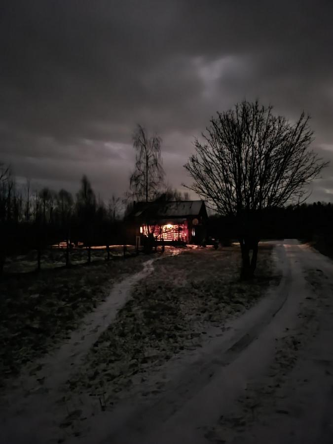 Musketeers Cabin Porumbacu de Sus Exteriör bild